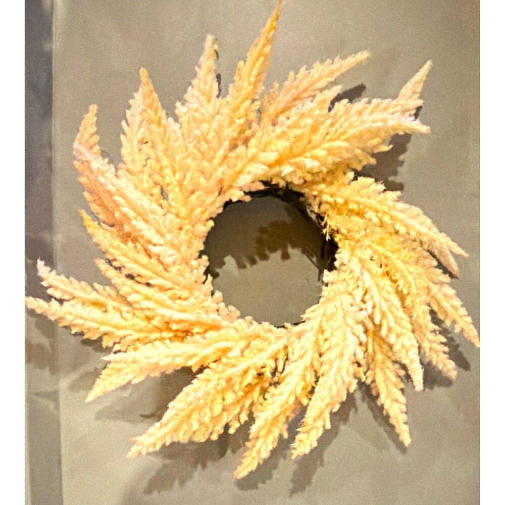 Peach Leaf Small Wreath Decor 12 inch NEW